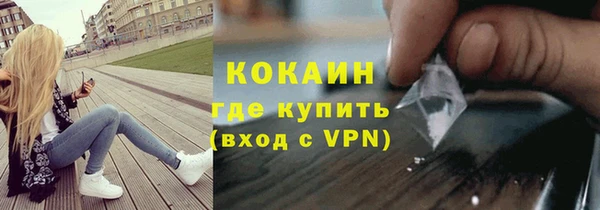 шишки Балахна