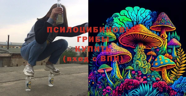мяу мяу мука Аркадак
