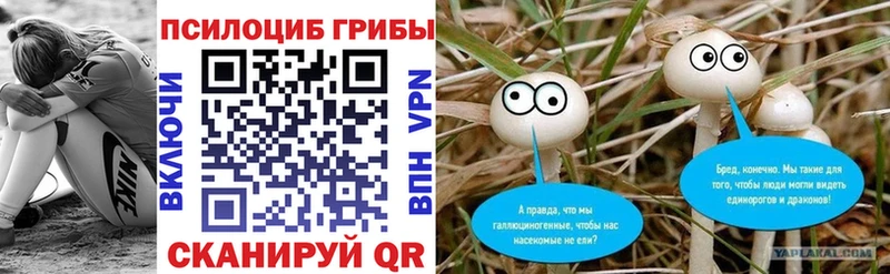 Псилоцибиновые грибы Psilocybine cubensis Курильск