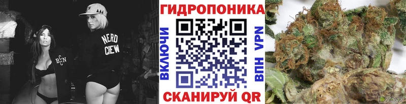 наркошоп  Курильск  Бошки марихуана индика 